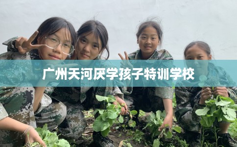 广州天河厌学孩子特训学校
