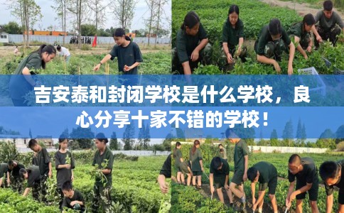 吉安泰和封闭学校是什么学校，良心分享十家不错的学校！