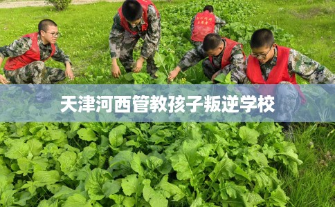 天津河西管教孩子叛逆学校