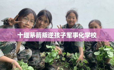 十堰茅箭叛逆孩子军事化学校