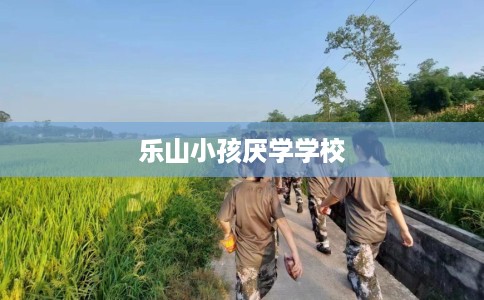 乐山小孩厌学学校