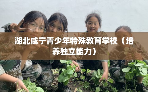 湖北咸宁青少年特殊教育学校（培养独立能力）