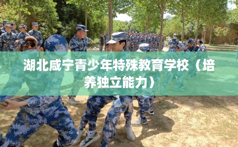 湖北咸宁青少年特殊教育学校（培养独立能力）