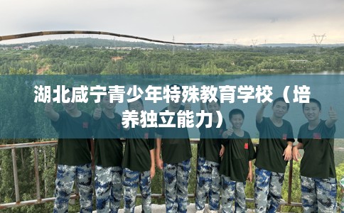 湖北咸宁青少年特殊教育学校（培养独立能力）