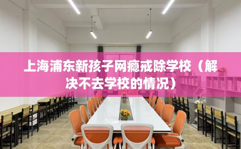 上海浦东新孩子网瘾戒除学校（解决不去学校的情况）