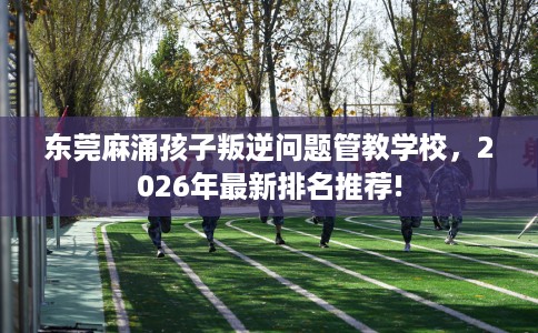 东莞麻涌孩子叛逆问题管教学校，2026年最新排名推荐!
