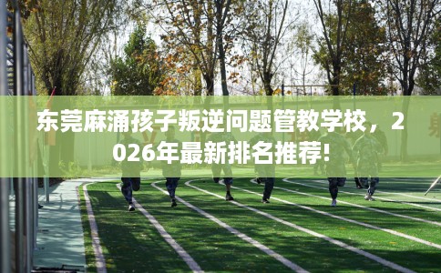 东莞麻涌孩子叛逆问题管教学校，2026年最新排名推荐!