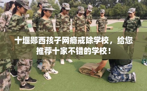 十堰郧西孩子网瘾戒除学校，给您推荐十家不错的学校！