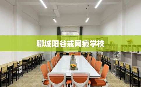 聊城阳谷戒网瘾学校