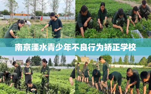 南京溧水青少年不良行为矫正学校