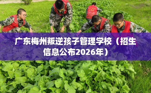 广东梅州叛逆孩子管理学校（招生信息公布2026年）