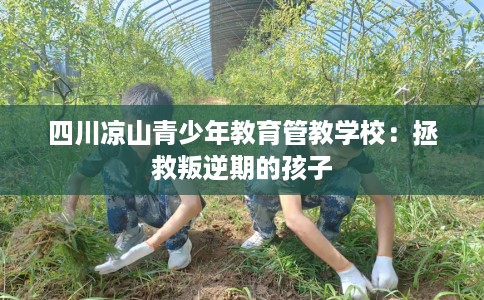 四川凉山青少年教育管教学校：拯救叛逆期的孩子