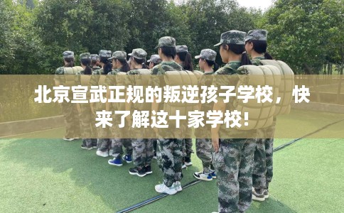 北京宣武正规的叛逆孩子学校，快来了解这十家学校!