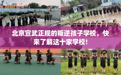 北京宣武正规的叛逆孩子学校，快来了解这十家学校!