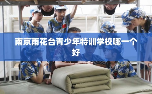 南京雨花台青少年特训学校哪一个好