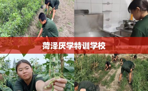 菏泽厌学特训学校