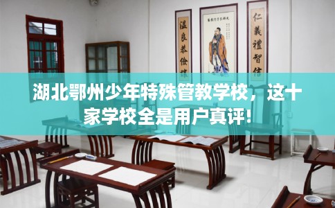 湖北鄂州少年特殊管教学校，这十家学校全是用户真评!