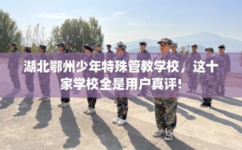 湖北鄂州少年特殊管教学校，这十家学校全是用户真评!