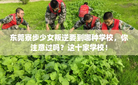 东莞寮步少女叛逆要到哪种学校，你注意过吗？这十家学校！