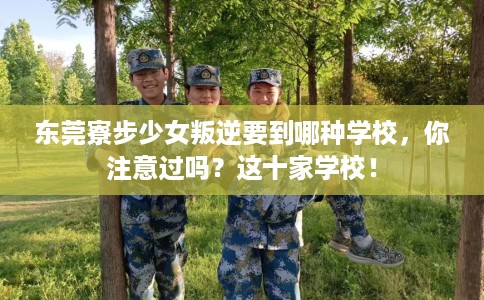 东莞寮步少女叛逆要到哪种学校，你注意过吗？这十家学校！