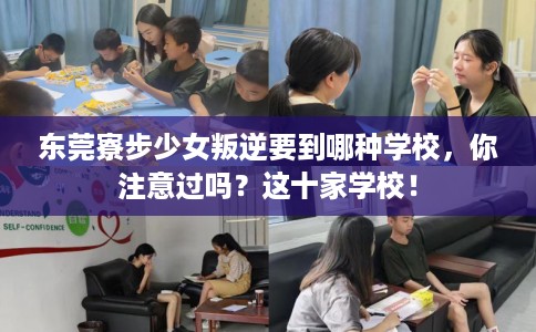 东莞寮步少女叛逆要到哪种学校，你注意过吗？这十家学校！