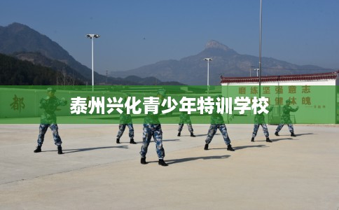 泰州兴化青少年特训学校
