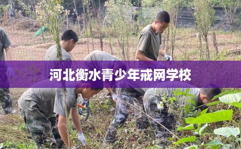 河北衡水青少年戒网学校
