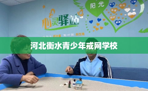 河北衡水青少年戒网学校