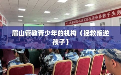 眉山管教青少年的机构（拯救叛逆孩子）