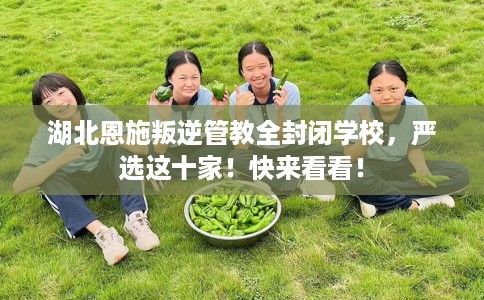 湖北恩施叛逆管教全封闭学校，严选这十家！快来看看！