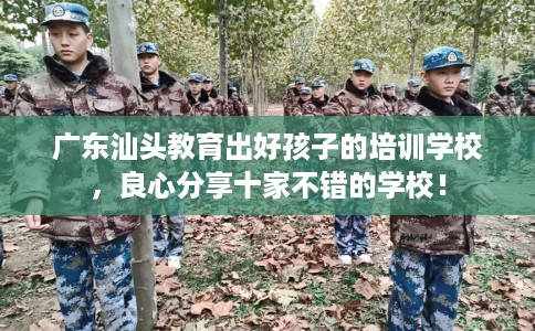 广东汕头教育出好孩子的培训学校，良心分享十家不错的学校！