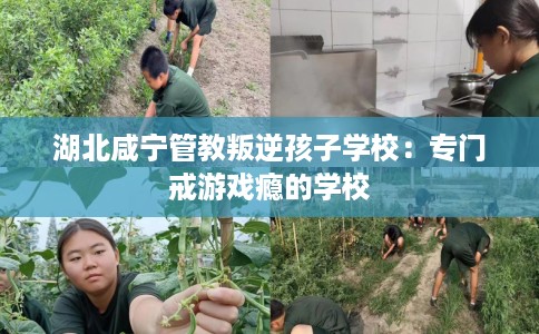 湖北咸宁管教叛逆孩子学校：专门戒游戏瘾的学校