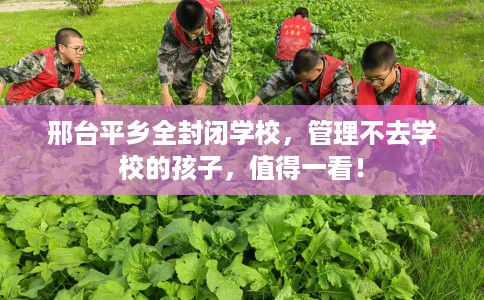 邢台平乡全封闭学校，管理不去学校的孩子，值得一看！