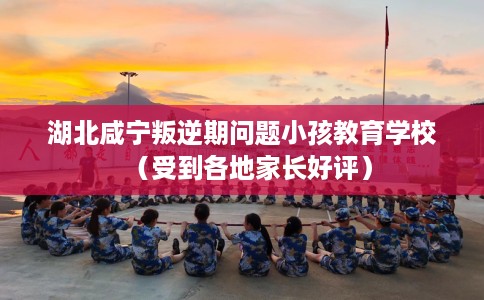 湖北咸宁叛逆期问题小孩教育学校（受到各地家长好评）