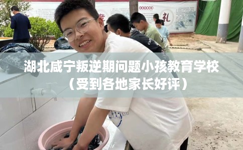 湖北咸宁叛逆期问题小孩教育学校（受到各地家长好评）