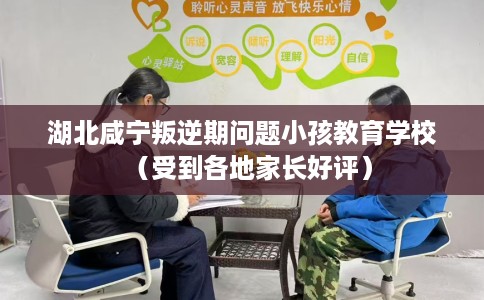 湖北咸宁叛逆期问题小孩教育学校（受到各地家长好评）