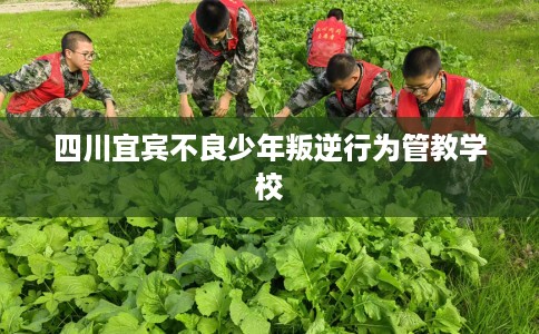 四川宜宾不良少年叛逆行为管教学校