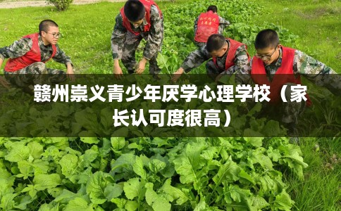 赣州崇义青少年厌学心理学校（家长认可度很高）