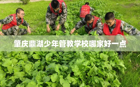 肇庆鼎湖少年管教学校哪家好一点