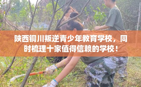 陕西铜川叛逆青少年教育学校，同时梳理十家值得信赖的学校！