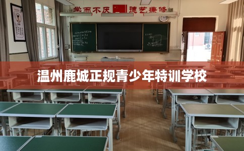温州鹿城正规青少年特训学校