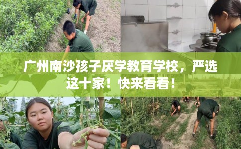 广州南沙孩子厌学教育学校，严选这十家！快来看看！