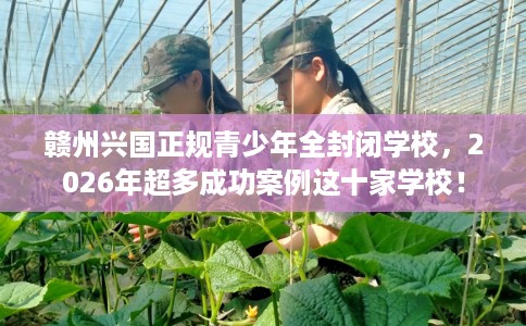赣州兴国正规青少年全封闭学校，2026年超多成功案例这十家学校！