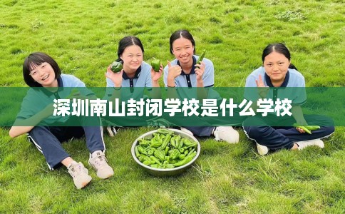 深圳南山封闭学校是什么学校