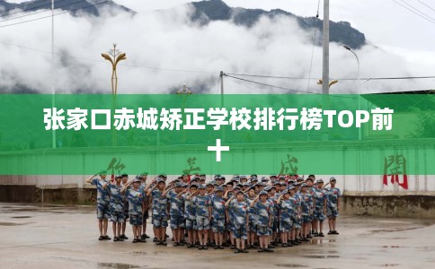 张家口赤城矫正学校排行榜TOP前十