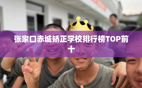 张家口赤城矫正学校排行榜TOP前十