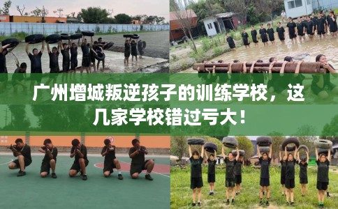 广州增城叛逆孩子的训练学校，这几家学校错过亏大！