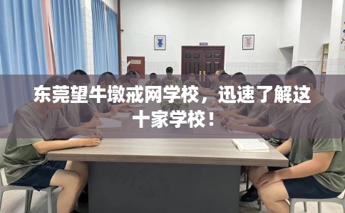 东莞望牛墩戒网学校，迅速了解这十家学校！