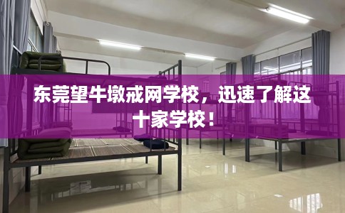 东莞望牛墩戒网学校，迅速了解这十家学校！