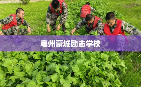 亳州蒙城励志学校